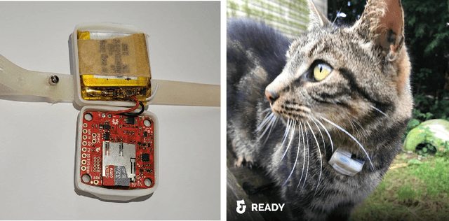 Figure 2 for Assessing the Circadian Rhythm of Cats Living in a Group using Accelerometers