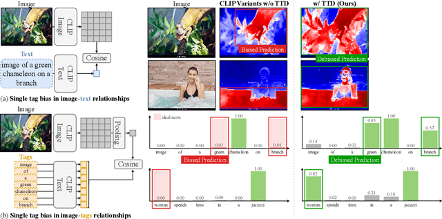 Figure 1 for TTD: Text-Tag Self-Distillation Enhancing Image-Text Alignment in CLIP to Alleviate Single Tag Bias