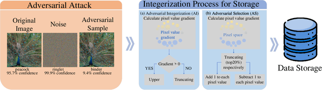 Figure 1 for DMS: Addressing Information Loss with More Steps for Pragmatic Adversarial Attacks