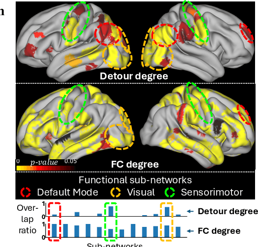 Figure 3 for NeuroPath: A Neural Pathway Transformer for Joining the Dots of Human Connectomes