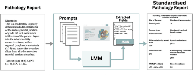 Figure 1 for Large Multimodal Model based Standardisation of Pathology Reports with Confidence and their Prognostic Significance