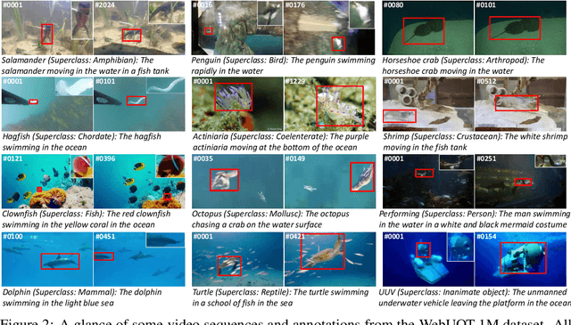 Figure 2 for WebUOT-1M: Advancing Deep Underwater Object Tracking with A Million-Scale Benchmark