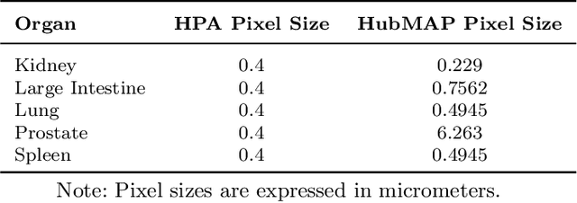 Figure 2 for Switched auxiliary loss for robust training of transformer models for histopathological image segmentation