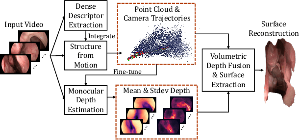 Figure 3 for A Quantitative Evaluation of Dense 3D Reconstruction of Sinus Anatomy from Monocular Endoscopic Video