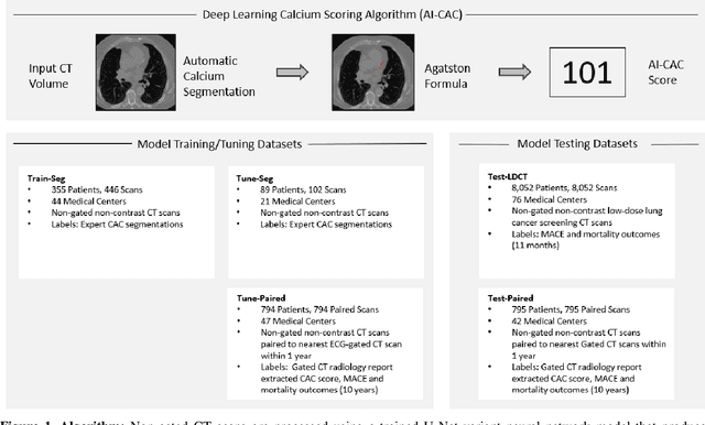 Figure 1 for Artificial Intelligence-Based Opportunistic Coronary Calcium Screening in the Veterans Affairs National Healthcare System