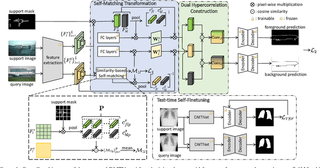 Figure 1 for Cross-Domain Few-Shot Semantic Segmentation via Doubly Matching Transformation