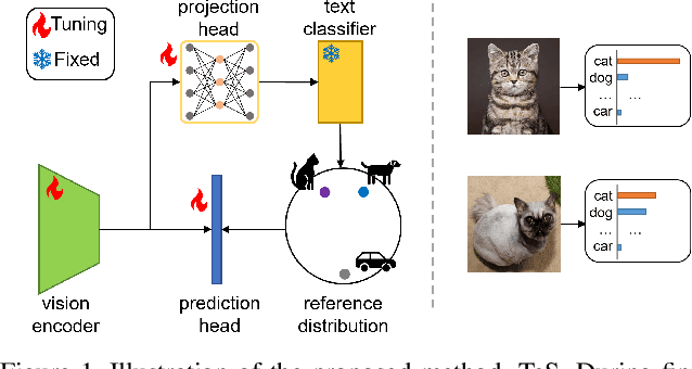 Figure 1 for Improved Visual Fine-tuning with Natural Language Supervision