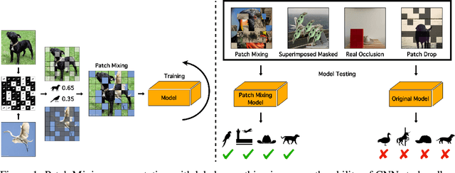 Figure 1 for Hardwiring ViT Patch Selectivity into CNNs using Patch Mixing