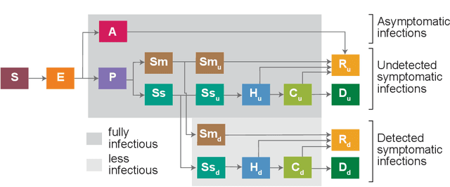 Figure 4 for Trajectory-oriented optimization of stochastic epidemiological models