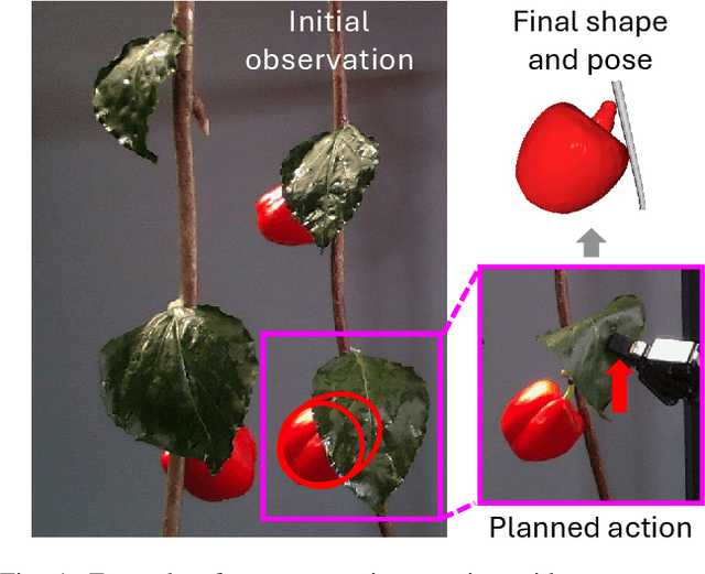 Figure 1 for Safe Leaf Manipulation for Accurate Shape and Pose Estimation of Occluded Fruits