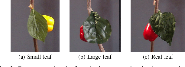 Figure 3 for Safe Leaf Manipulation for Accurate Shape and Pose Estimation of Occluded Fruits