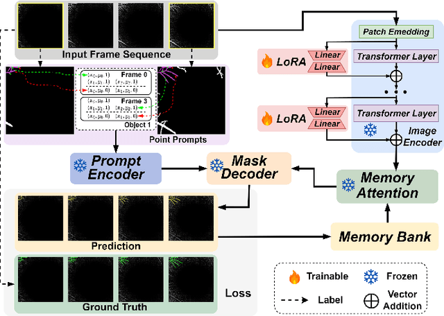 Figure 1 for SAM-OCTA2: Layer Sequence OCTA Segmentation with Fine-tuned Segment Anything Model 2