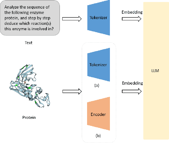 Figure 1 for TourSynbio: A Multi-Modal Large Model and Agent Framework to Bridge Text and Protein Sequences for Protein Engineering