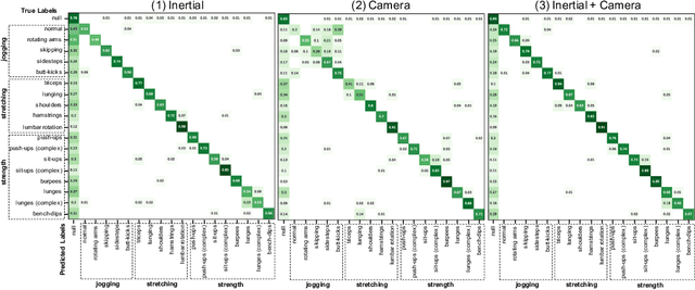 Figure 4 for WEAR: A Multimodal Dataset for Wearable and Egocentric Video Activity Recognition