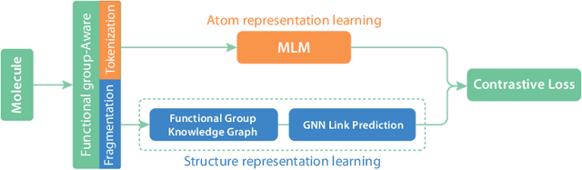 Figure 1 for FARM: Functional Group-Aware Representations for Small Molecules