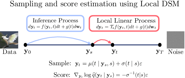 Figure 1 for What's the score? Automated Denoising Score Matching for Nonlinear Diffusions