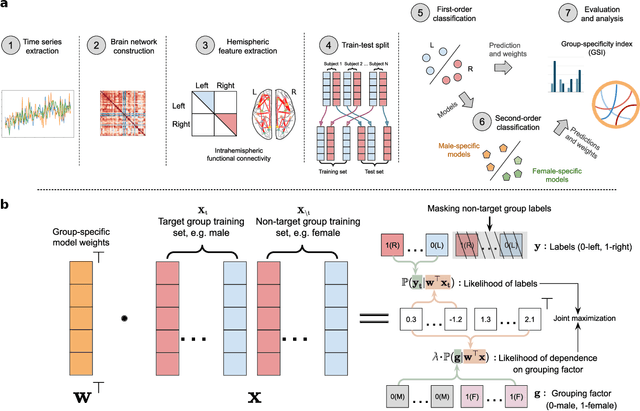 Figure 1 for Group-specific discriminant analysis reveals statistically validated sex differences in lateralization of brain functional network