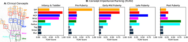 Figure 3 for Post hoc Explanations may be Ineffective for Detecting Unknown Spurious Correlation