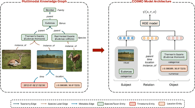 Figure 1 for Bringing Back the Context: Camera Trap Species Identification as Link Prediction on Multimodal Knowledge Graphs