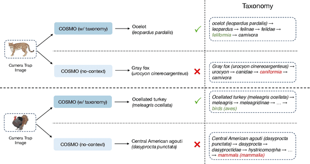 Figure 4 for Bringing Back the Context: Camera Trap Species Identification as Link Prediction on Multimodal Knowledge Graphs