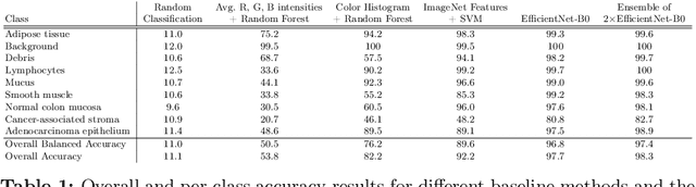 Figure 2 for NCT-CRC-HE: Not All Histopathological Datasets Are Equally Useful