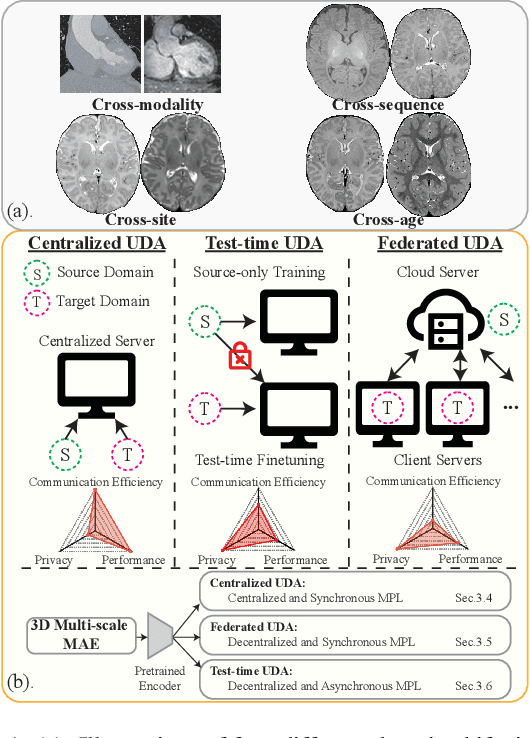 Figure 1 for 3D Masked Autoencoding and Pseudo-labeling for Domain Adaptive Segmentation of Heterogeneous Infant Brain MRI