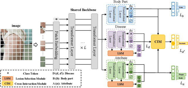 Figure 3 for A Novel Multi-Task Model Imitating Dermatologists for Accurate Differential Diagnosis of Skin Diseases in Clinical Images