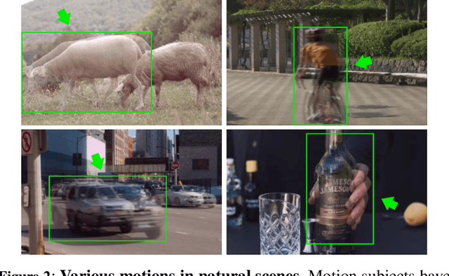 Figure 3 for MoSt-DSA: Modeling Motion and Structural Interactions for Direct Multi-Frame Interpolation in DSA Images