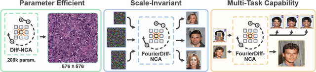 Figure 1 for Frequency-Time Diffusion with Neural Cellular Automata