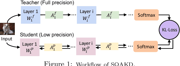 Figure 2 for Self-Supervised Quantization-Aware Knowledge Distillation