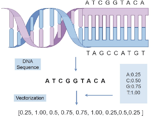 Figure 1 for Prediction by Machine Learning Analysis of Genomic Data Phenotypic Frost Tolerance in Perccottus glenii