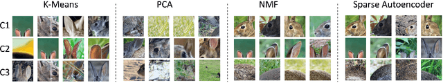 Figure 3 for A Holistic Approach to Unifying Automatic Concept Extraction and Concept Importance Estimation