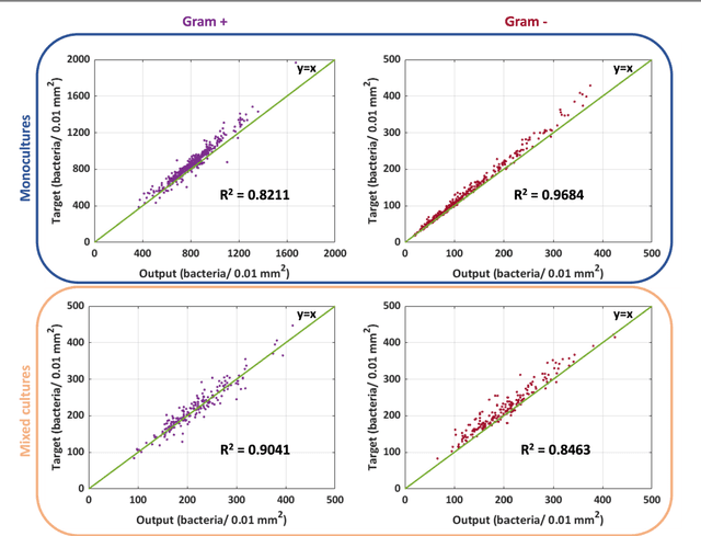 Figure 4 for Virtual Gram staining of label-free bacteria using darkfield microscopy and deep learning