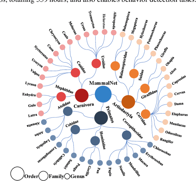 Figure 2 for MammalNet: A Large-scale Video Benchmark for Mammal Recognition and Behavior Understanding