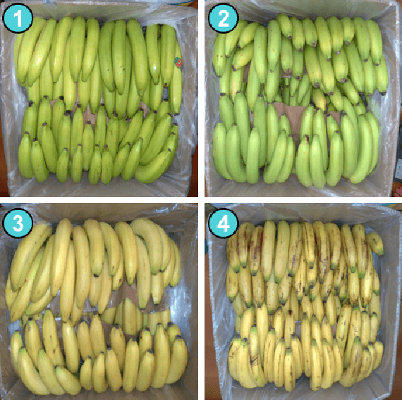 Figure 1 for Stop overkilling simple tasks with black-box models and use transparent models instead