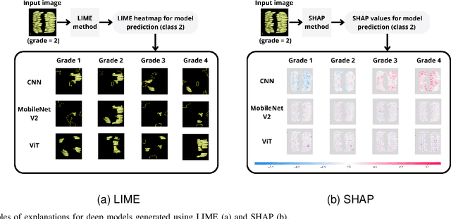 Figure 2 for Stop overkilling simple tasks with black-box models and use transparent models instead