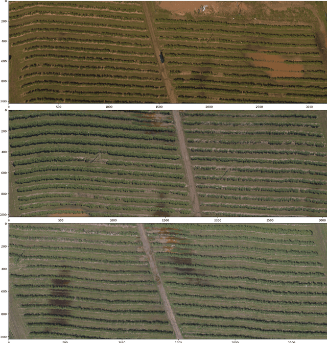 Figure 3 for Hyperspectral Unmixing of Agricultural Images taken from UAV Using Adapted U-Net Architecture