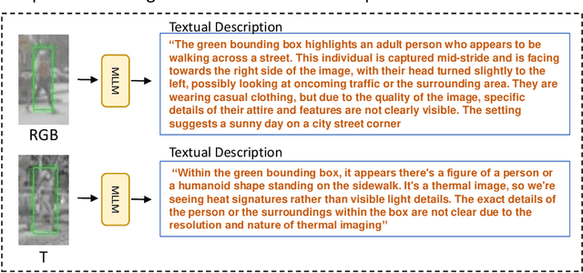 Figure 3 for MSCoTDet: Language-driven Multi-modal Fusion for Improved Multispectral Pedestrian Detection