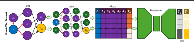 Figure 1 for FairPFN: Transformers Can do Counterfactual Fairness