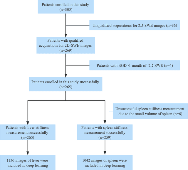 Figure 1 for Deep learning radiomics for assessment of gastroesophageal varices in people with compensated advanced chronic liver disease