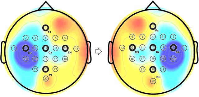 Figure 3 for Mirror contrastive loss based sliding window transformer for subject-independent motor imagery based EEG signal recognition