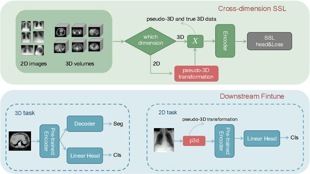 Figure 1 for Cross-Dimensional Medical Self-Supervised Representation Learning Based on a Pseudo-3D Transformation