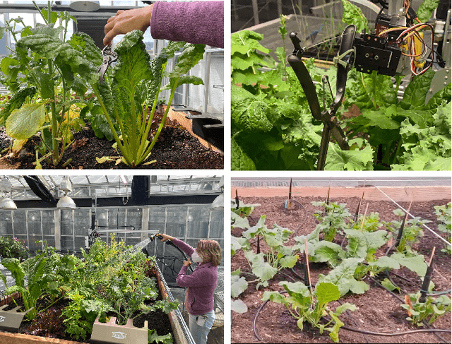 Figure 2 for Can Machines Garden? Systematically Comparing the AlphaGarden vs. Professional Horticulturalists