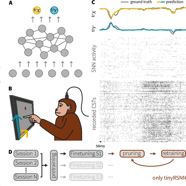 Figure 1 for Decoding finger velocity from cortical spike trains with recurrent spiking neural networks