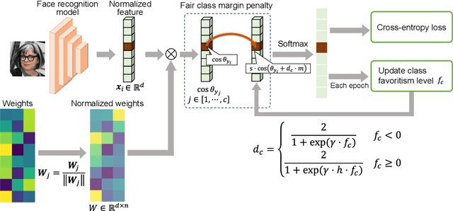 Figure 1 for LabellessFace: Fair Metric Learning for Face Recognition without Attribute Labels