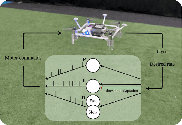 Figure 1 for Neuromorphic Control using Input-Weighted Threshold Adaptation