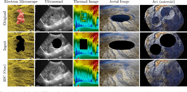 Figure 3 for Internal Diverse Image Completion