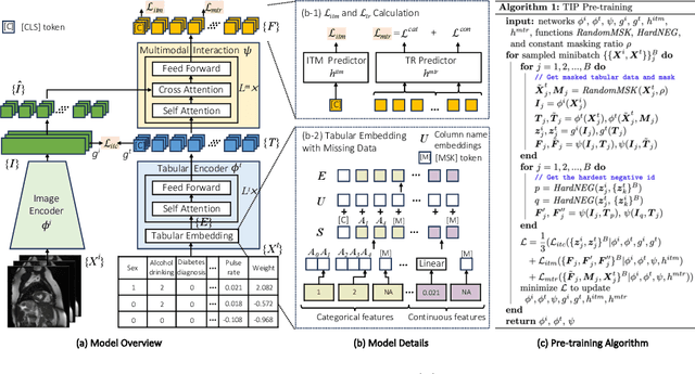 Figure 3 for TIP: Tabular-Image Pre-training for Multimodal Classification with Incomplete Data