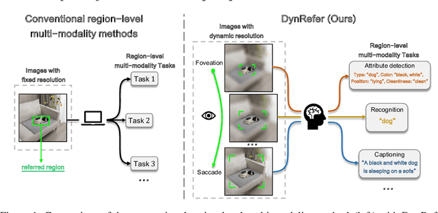 Figure 1 for DynRefer: Delving into Region-level Multi-modality Tasks via Dynamic Resolution