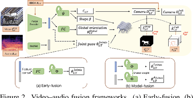 Figure 2 for CLHOP: Combined Audio-Video Learning for Horse 3D Pose and Shape Estimation